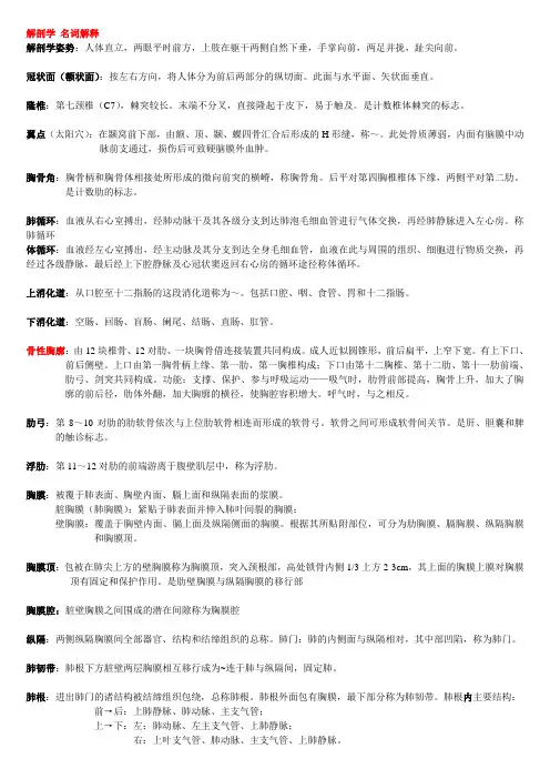 解剖学 名词解释汇总