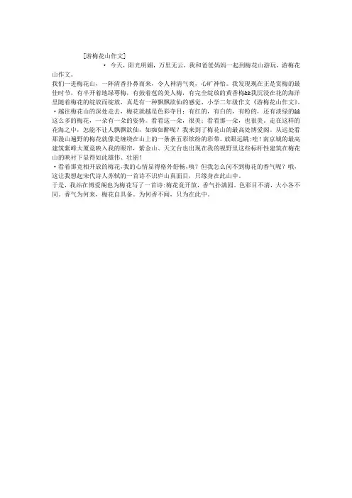 游梅花山作文