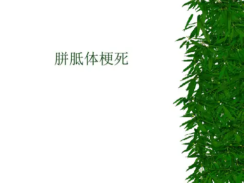 胼胝体梗死附图