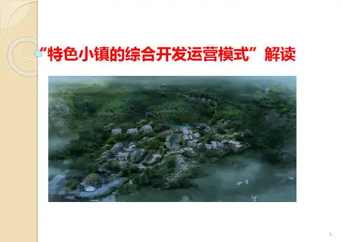 特色小镇的综合运营开发模式解读ppt课件