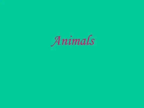 我爱小动物Animals课件课件
