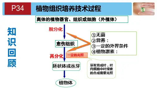 2.1.2植物细胞工程的应用(26张PPT)