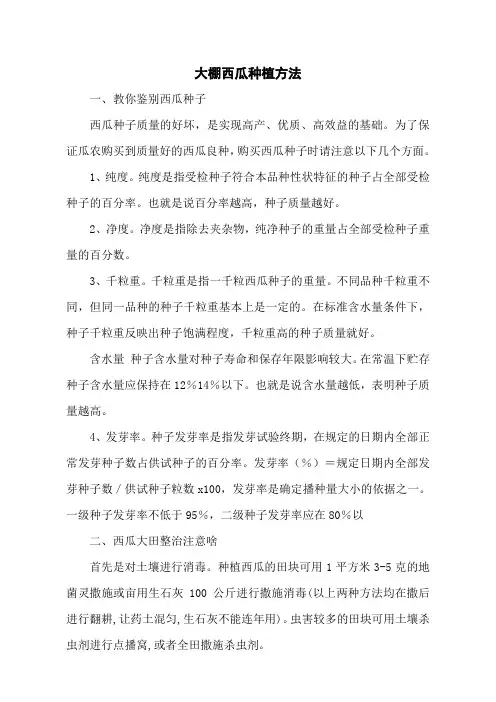 大棚西瓜种植方法