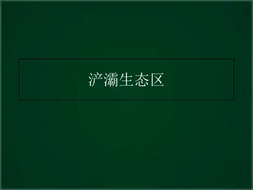 西安浐灞生态区介绍教学讲义