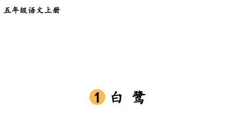 部编版语文五年级上册《第一单元教材习题答案》课件