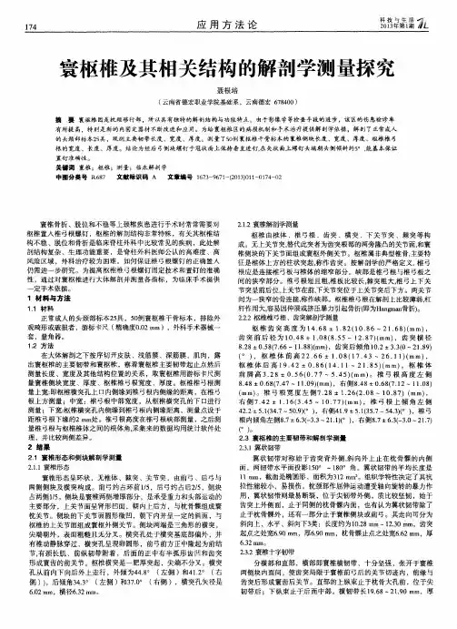 寰枢椎及其相关结构的解剖学测量探究