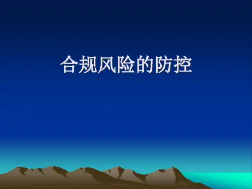 合规风险的防控(PPT41页)