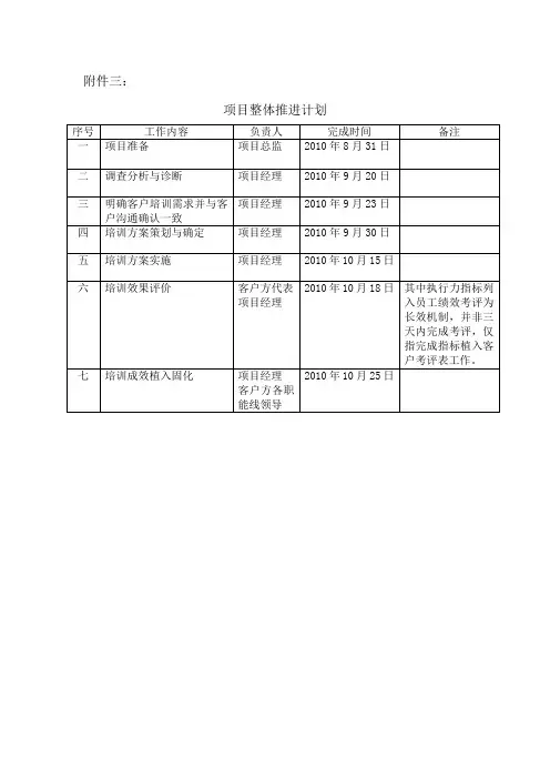 项目整体推进计划