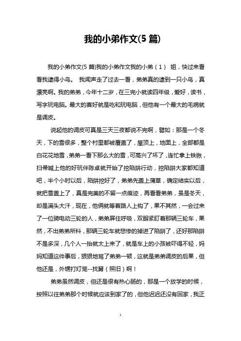 我的小弟作文(5篇)