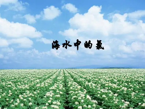 上海科学技术出版社高中化学一年级第一学期:海水中的氯