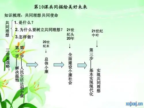 九年级思品第十课复习课件