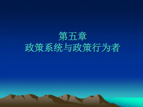 公共政策学重点第五章