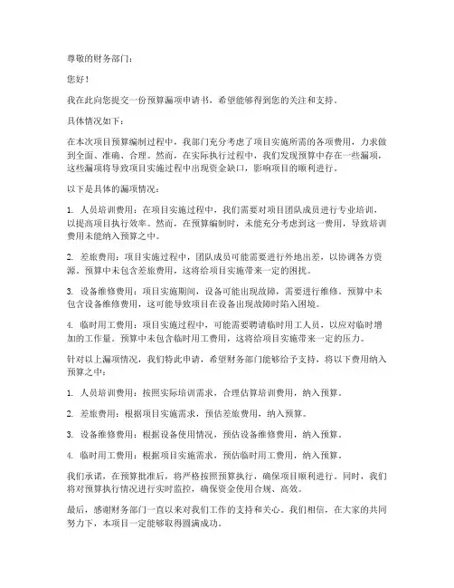 预算漏项申请书模板
