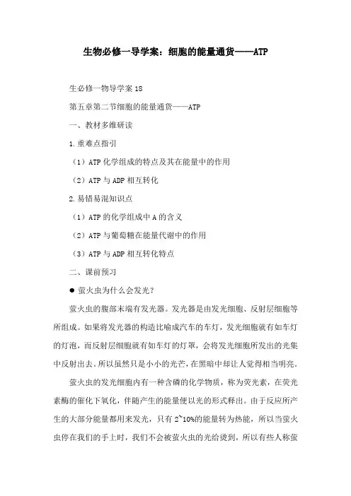 生物必修一导学案：细胞的能量通货——ATP