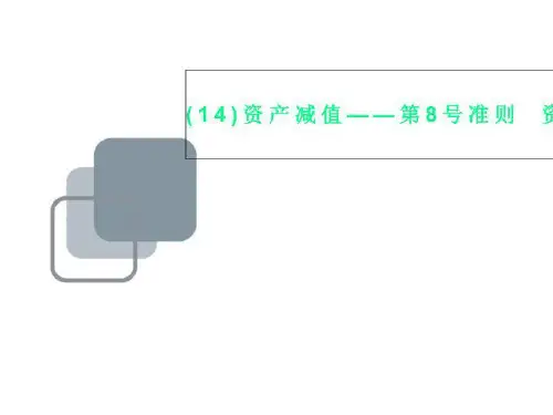 (14)资产减值——第8号准则  资产减值