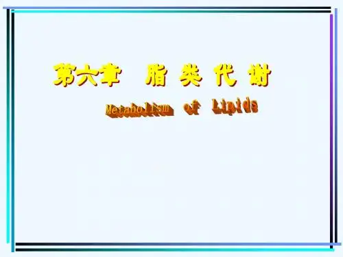 北大基础医学生物化学PPT课件 第六章  脂类代谢