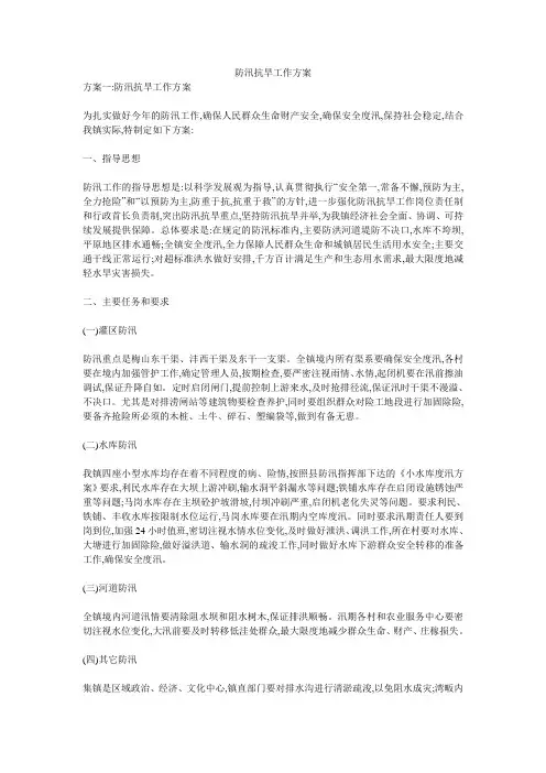 防汛抗旱工作方案