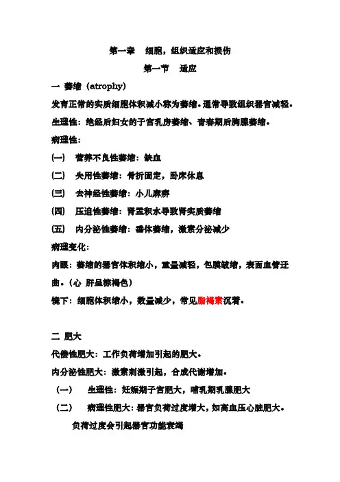 第一章 适应 损伤