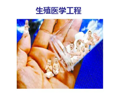 生殖医学工程PPT课件