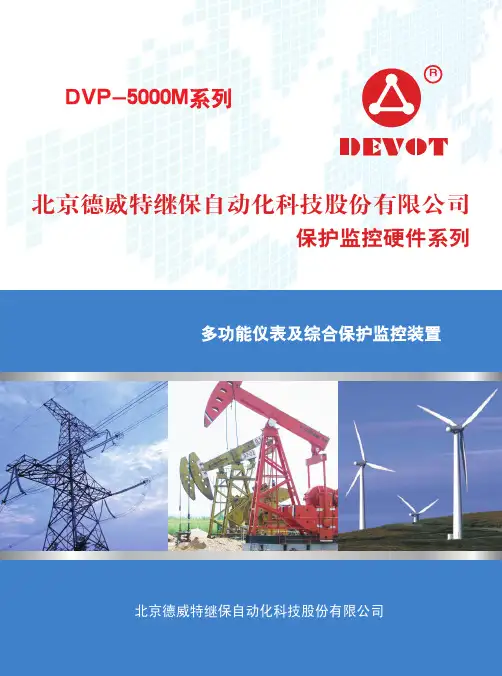 DVP-5000M系列