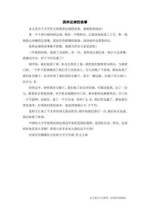 我和足球的故事_小学作文