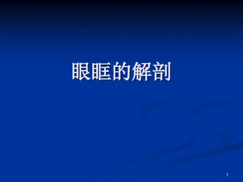 眼眶的解剖-推荐课件
