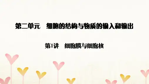 高考生物大一轮复习第2单元细胞的结构与物质的输入和