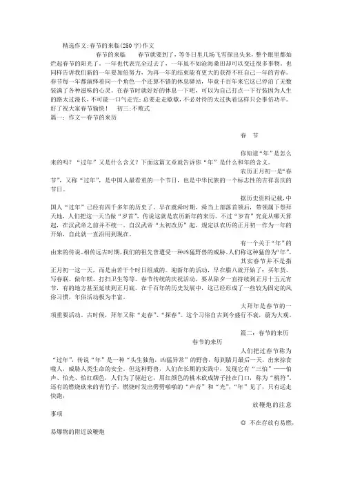 春节的来临(250字)作文