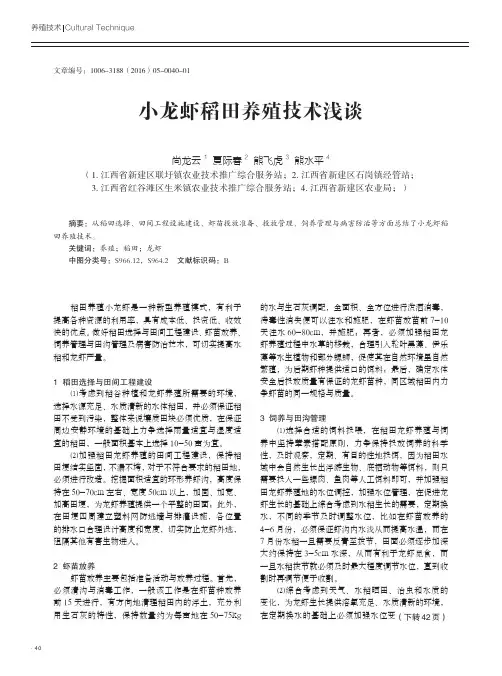 小龙虾稻田养殖技术浅谈