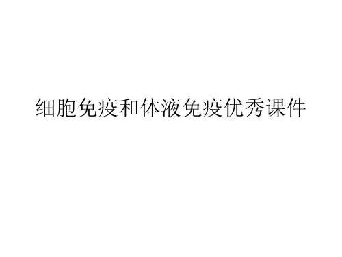 细胞免疫和体液免疫优秀课件