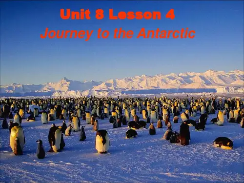 Lesson4 Reading
