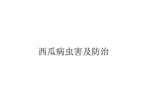 西瓜病虫害及防治PPT课件