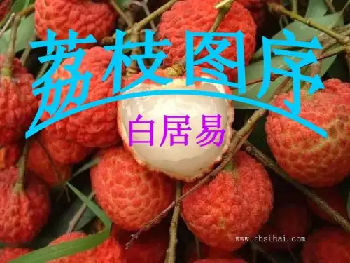 荔枝图序课件