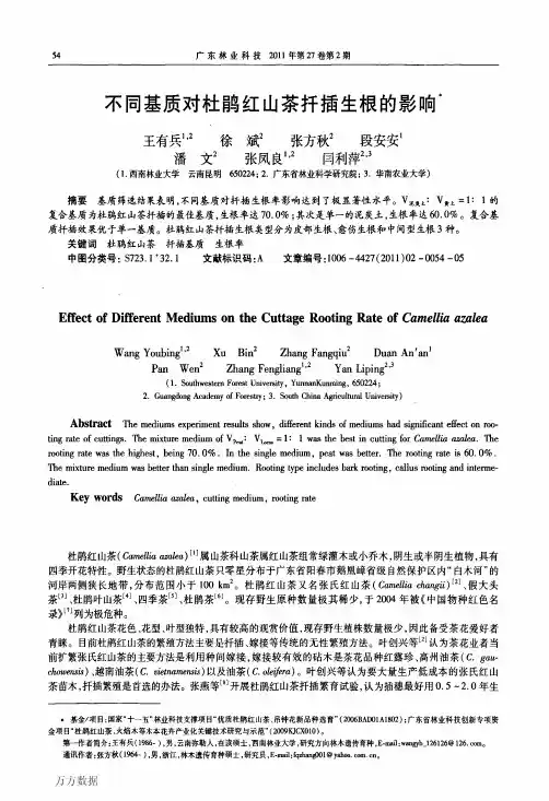不同基质对杜鹃红山茶扦插生根的影响