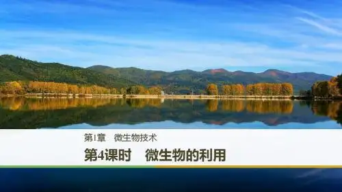 2017-2018学年同步备课套餐之生物北师大版选修1课件:第1章 第4课时 精品