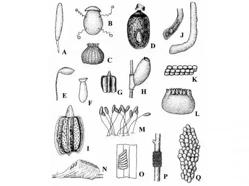 生物学2