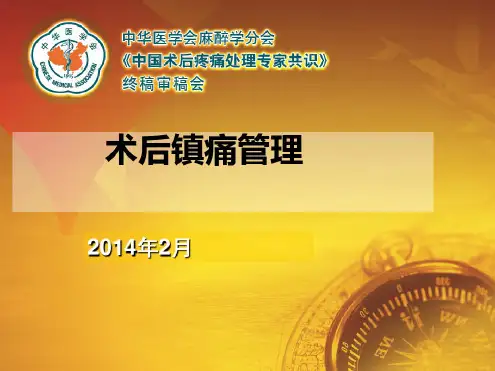 术后镇痛管理