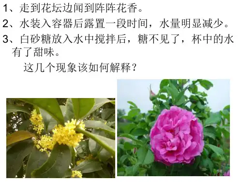 分子和原子资料.