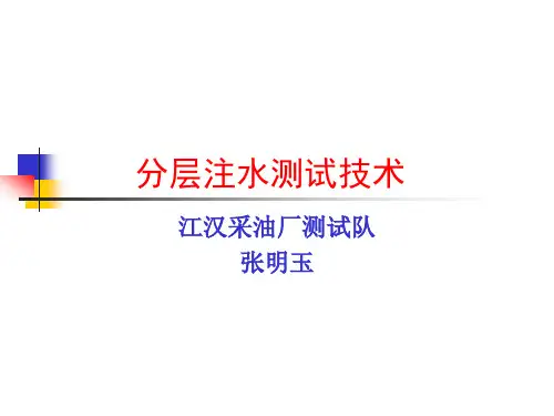 分层注水测试技术