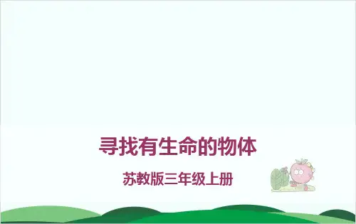 苏教版科学《寻找有生命的物体》全文课件1