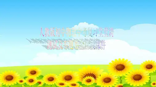 人教版初中物理中考复习堂堂清测试及专题卷全阶段课件