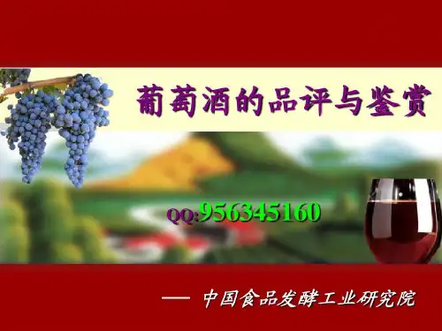 葡萄酒品评与鉴赏32页PPT