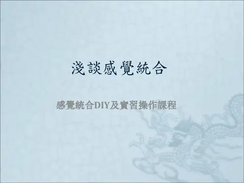 浅谈感觉统合