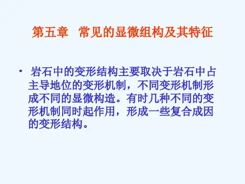 第五章显微构造