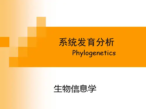 生物信息学系统发育分析