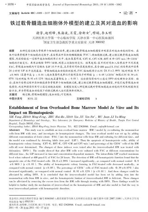 铁过载骨髓造血细胞体外模型的建立及其对造血的影响