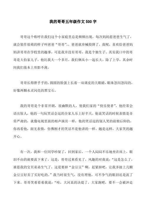 我的哥哥五年级作文500字