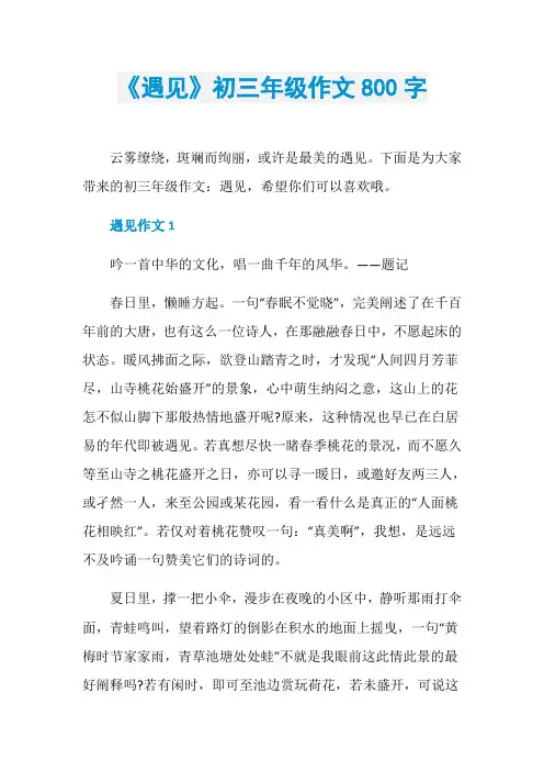 《遇见》初三年级作文800字