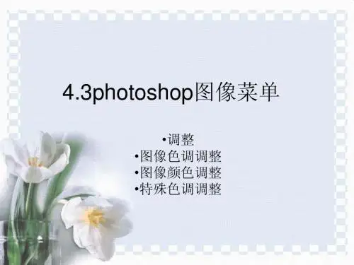 ps图像调整