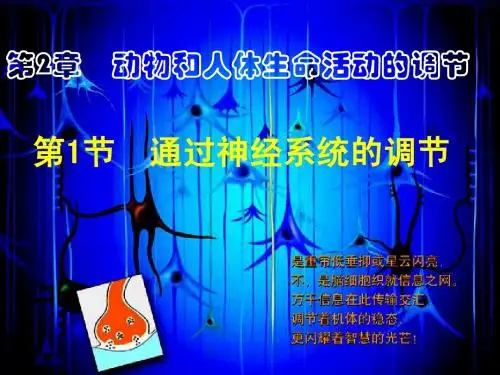 3通过神经系统的调节